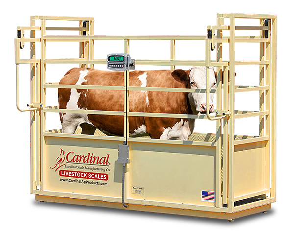 Cardinal Scale's SLS Series Single Animal Livestock Scales