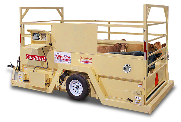 Cardinal Scale's Weight Wrangler LSM Series Mobile Livestock Scales