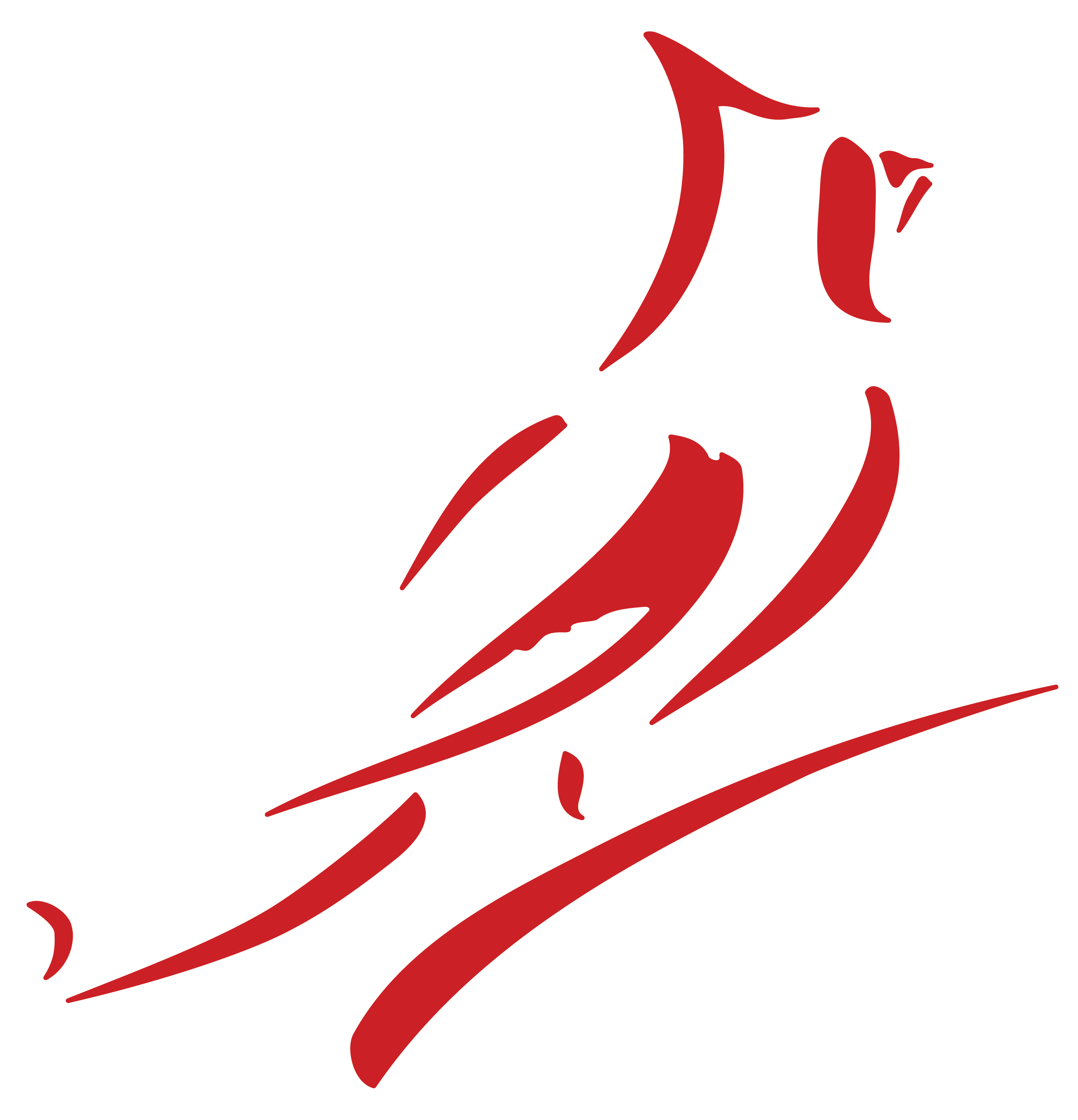 https://cardinalscale.com/themes/ee/site/default/asset/img/resources/resources_images/Cardinal-Detecto-Logo-Bird-Isolated.jpg